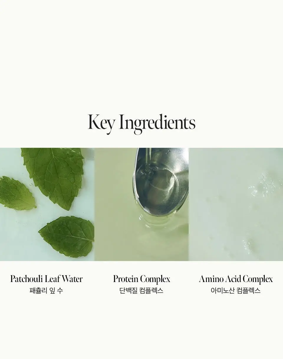 [열보호] 아닐로 패츌리가든 데미지 리페어 헤어 트리트먼트 150ml (기획/단품) 상세페이지 7